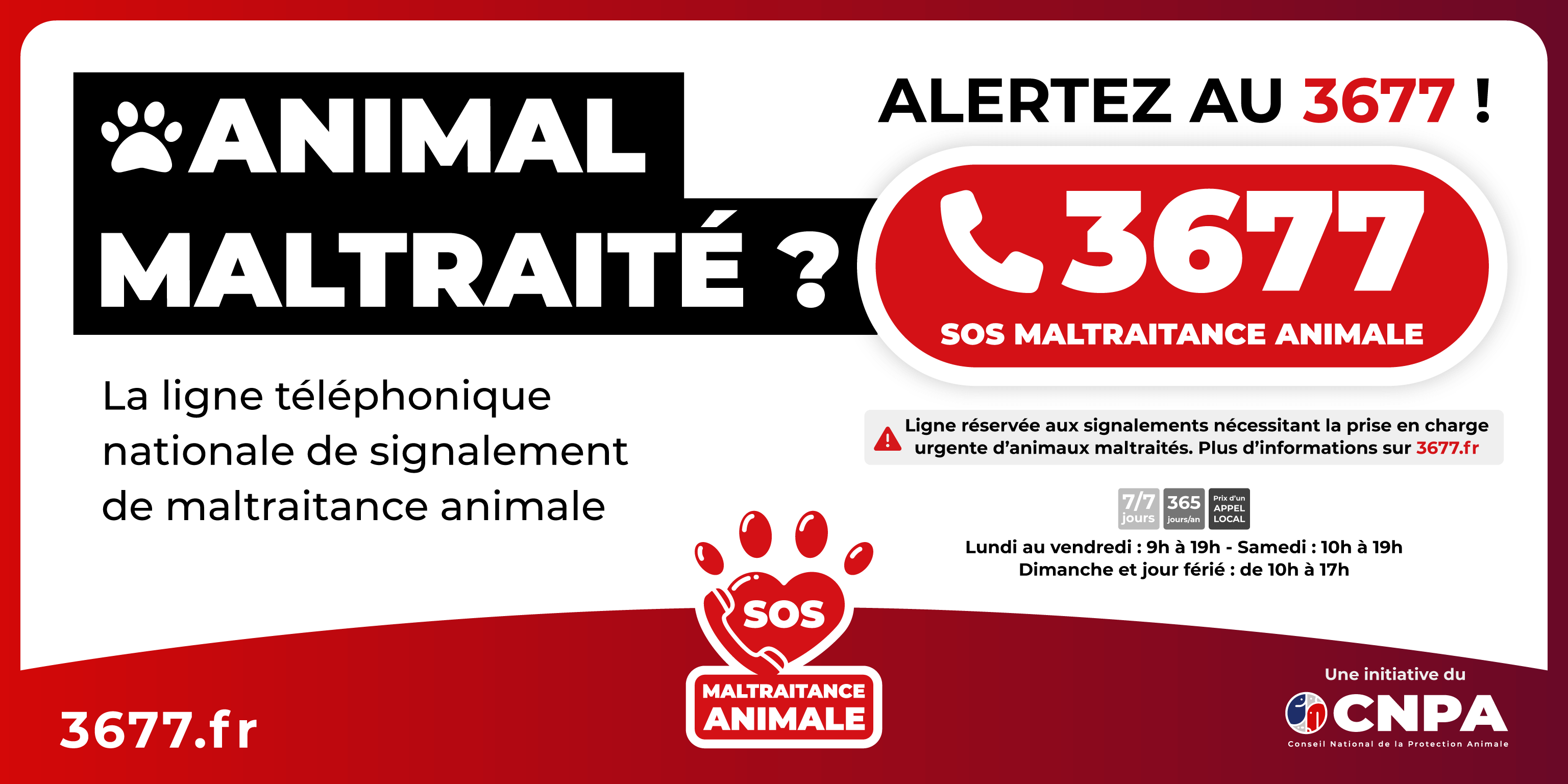 3677-SOS-maltraitance-animale-vignette-ligne-telephonique